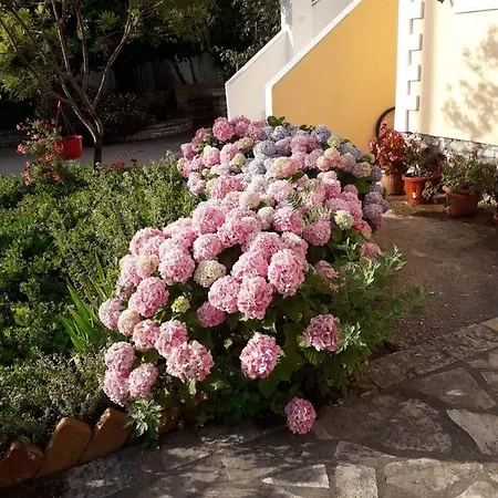 Violeta * Ksamil