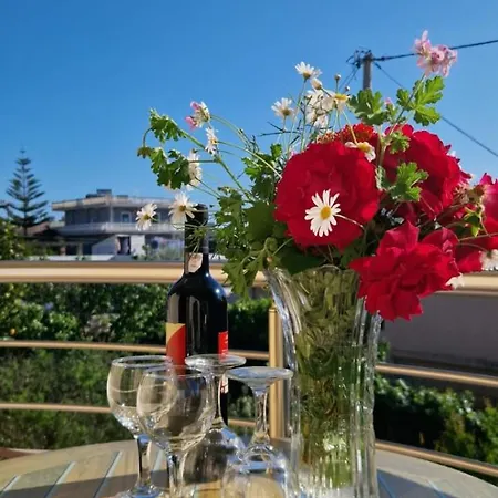 別荘 Violeta クサミル