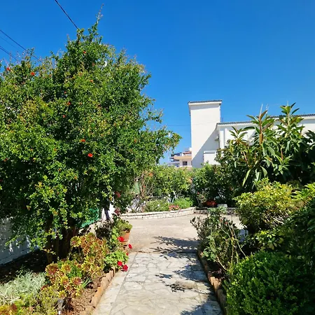 Violeta * 卡萨米尔