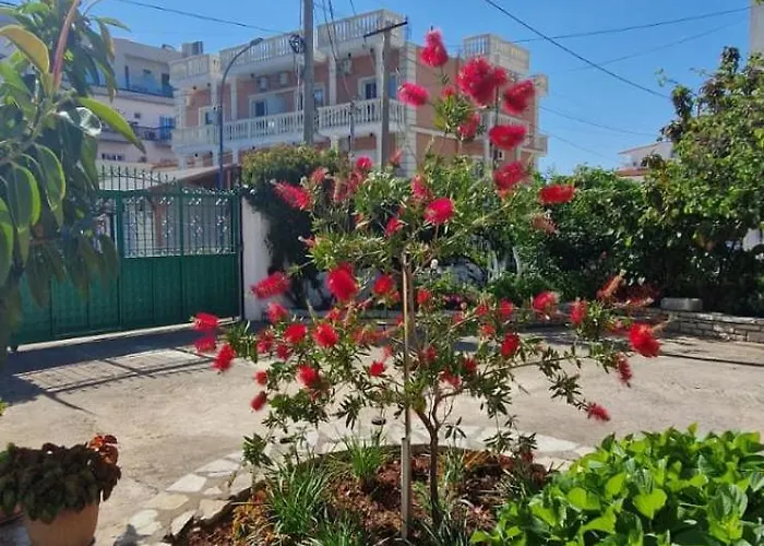 Violeta 卡萨米尔