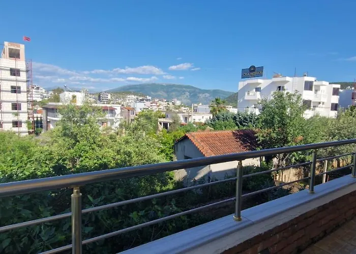 Violeta 卡萨米尔