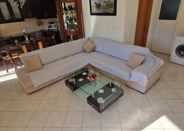 Violeta * 卡萨米尔