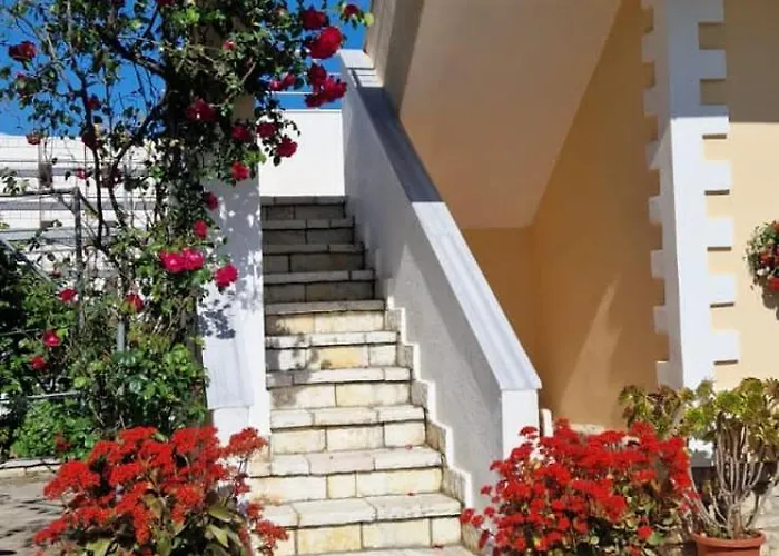 Violeta Dom wakacyjny *