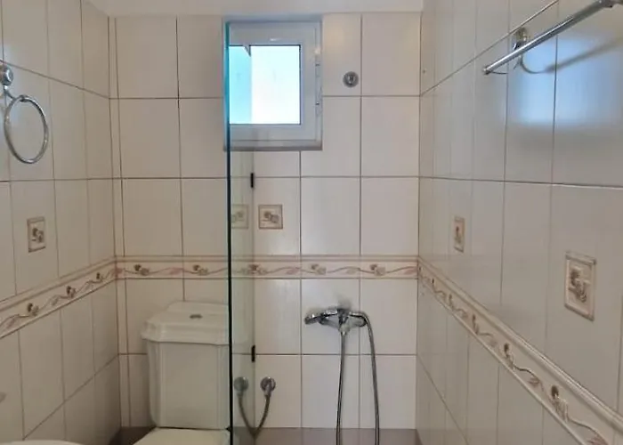 Violeta 卡萨米尔