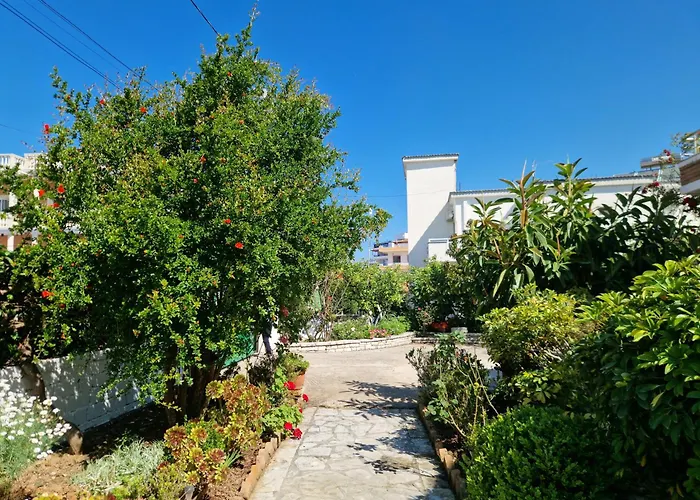 Violeta * 卡萨米尔